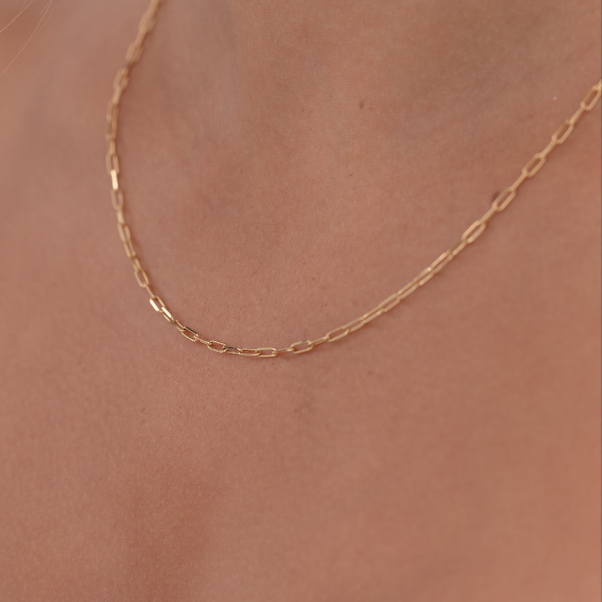 Oval Paperlink Chain