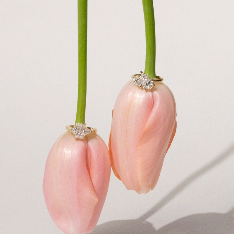 Editorial image